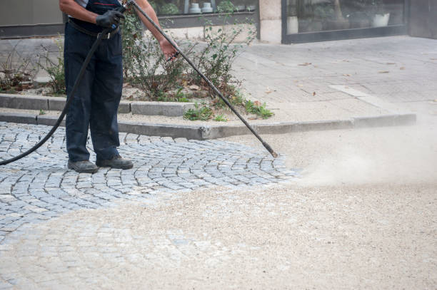 Best Fence Cleaning  in Choccolocco, AL