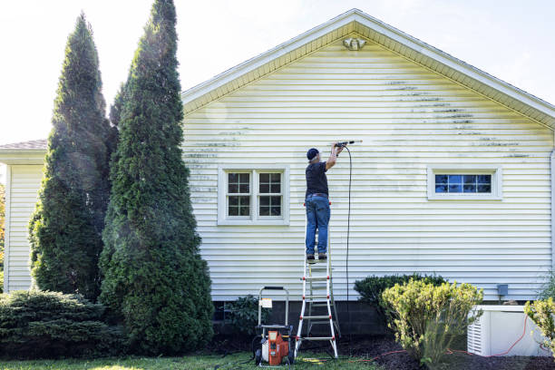 Best Gutter Cleaning  in Choccolocco, AL